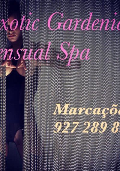 Erotic massage Porto da Folha