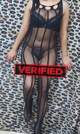 Adriana sexy Prostitute Ferreiros